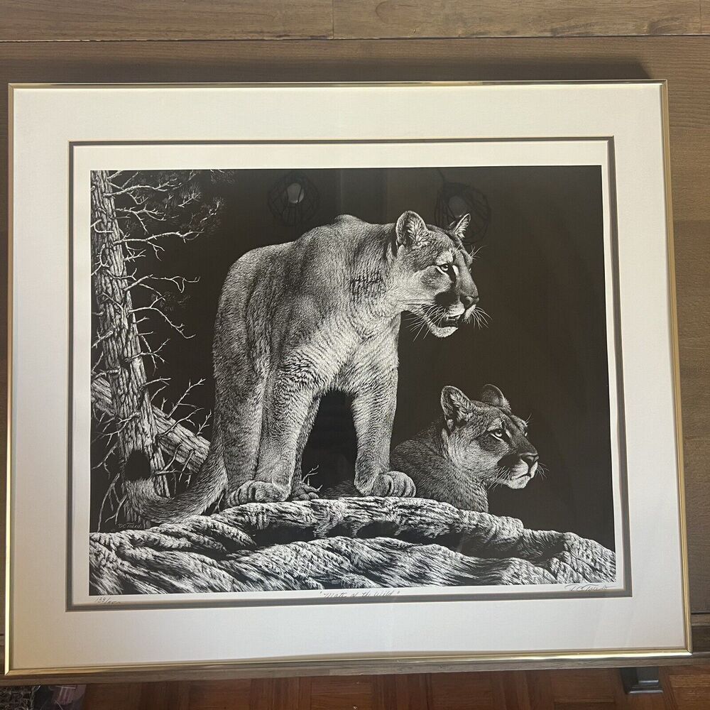 Daniel Toledo Scratchboard Lithograph Mate Of The Wild Mountain Lion Framed Art